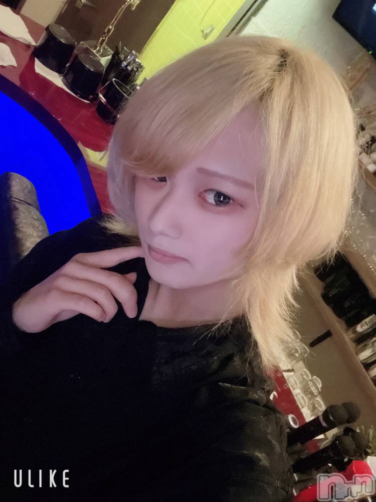 ��Į�ۥ��ȡ��ܡ������С�A151(�����������ݥ���) ��򥷥��5��16���̥�֥����ֻŻ�����