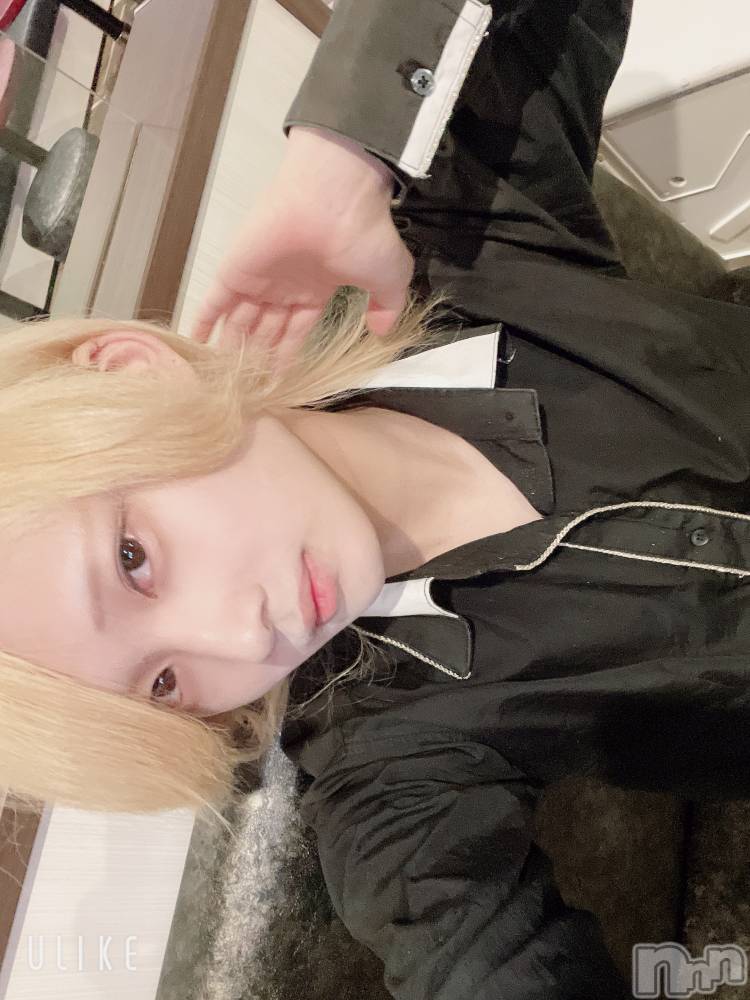 ��Į�ۥ��ȡ��ܡ������С�A151(�����������ݥ���) ��򥷥��6��2���̥�֥��������������꤬�Ȥ���