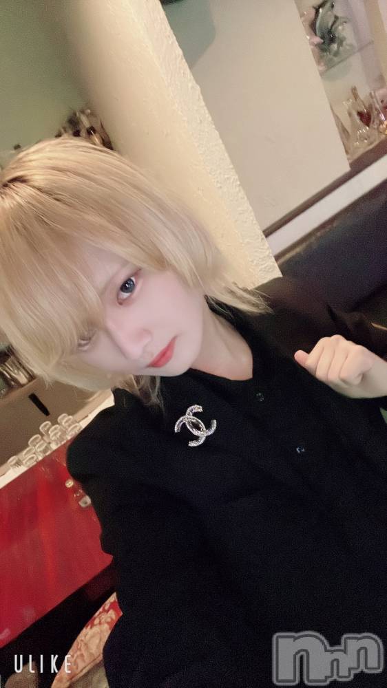 ��Į�ۥ��ȡ��ܡ������С�A151(�����������ݥ���) ��򥷥��6��9���̥�֥�����Ź������