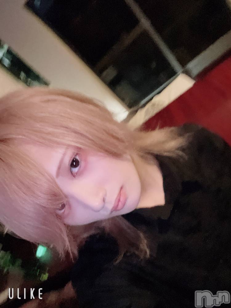 ��Į�ۥ��ȡ��ܡ������С�A151(�����������ݥ���) ��򥷥��6��23���̥�֥����ְ��⤦��