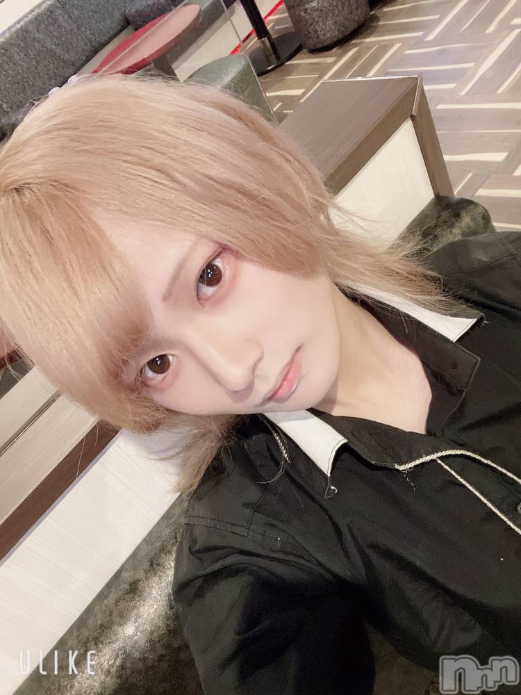 ��Į�ۥ��ȡ��ܡ������С�A151(�����������ݥ���) ��򥷥��6��25���̥�֥�����Ź��ơ�