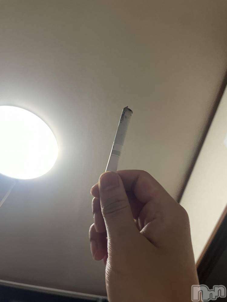 ��Į�ۥ��ȡ��ܡ������С�A151(�����������ݥ���) ��򥷥��7��12���̥�֥����ֱ����ۤ��ޤ�����