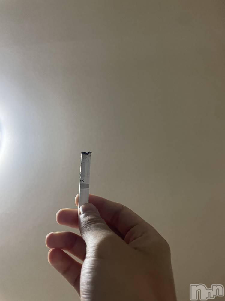 ��Į�ۥ��ȡ��ܡ������С�A151(�����������ݥ���) ��򥷥��7��12���̥�֥����֤ޤ������ۤ��ޤ�����