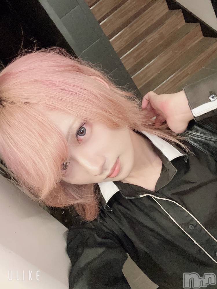 ��Į�ۥ��ȡ��ܡ������С�A151(�����������ݥ���) ��򥷥��7��17���̥�֥������ϸ����ä���