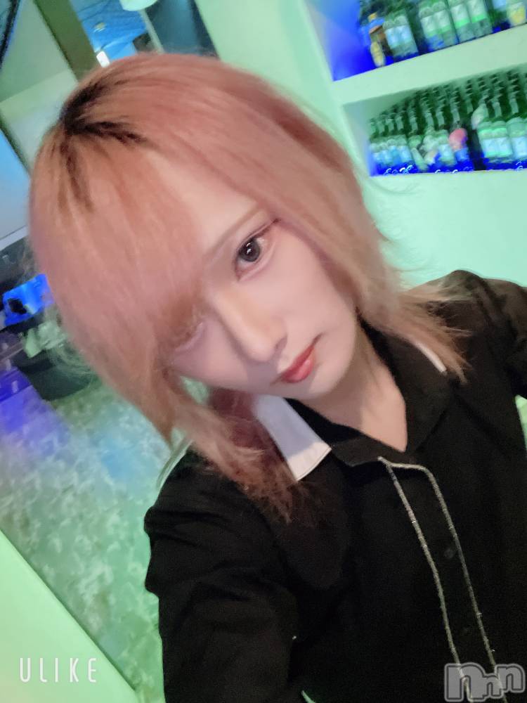 ��Į�ۥ��ȡ��ܡ������С�A151(�����������ݥ���) ��򥷥��8��2���̥�֥����ֽжФ�����