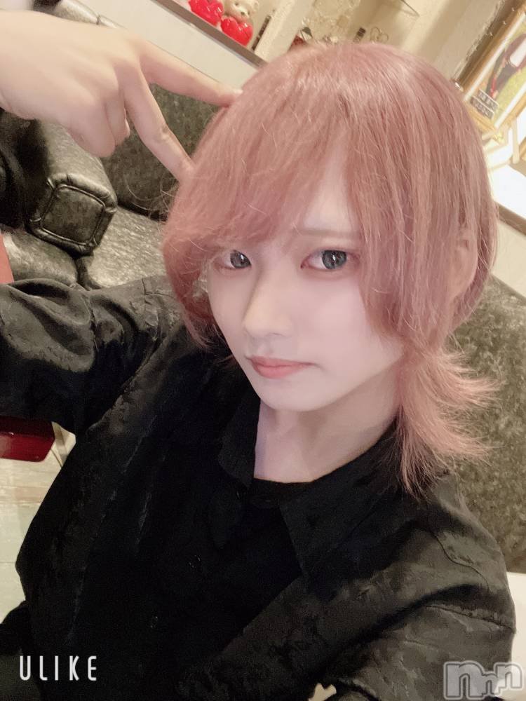 ��Į�ۥ��ȡ��ܡ������С�A151(�����������ݥ���) ��򥷥��8��4���̥�֥����ֻŻ����ޤ���