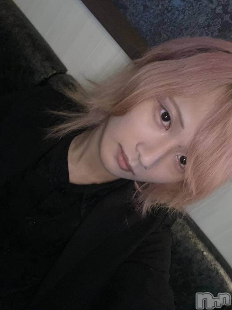 ��Į�ۥ��ȡ��ܡ������С�A151(�����������ݥ���) ��򥷥��8��7���̥�֥����֥��饳��ʤ���