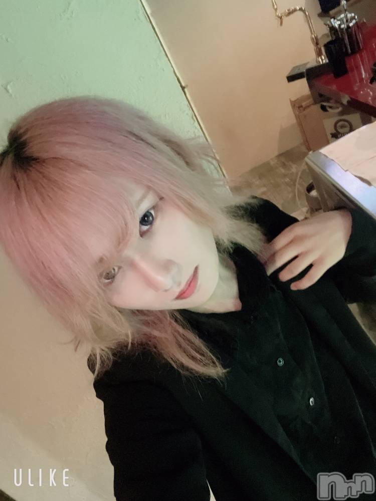 ��Į�ۥ��ȡ��ܡ������С�A151(�����������ݥ���) ��򥷥��8��17���̥�֥����֥ܥȥå����ǤäƤ�����