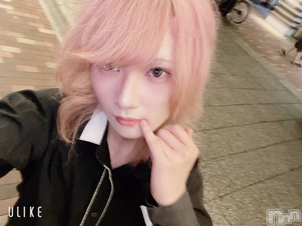 ��Į�ۥ��ȡ��ܡ������С�A151(�����������ݥ���) ��򥷥��8��25���̥�֥����֤���6����