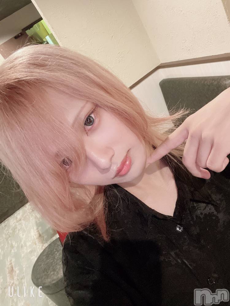 ��Į�ۥ��ȡ��ܡ������С�A151(�����������ݥ���) ��򥷥��9��4���̥�֥����ֺ����������