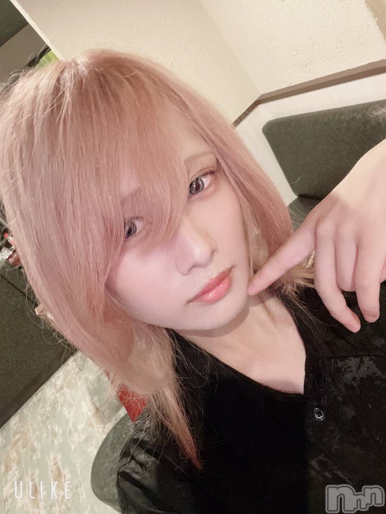 ��Į�ۥ��ȡ��ܡ������С�A151(�����������ݥ���) ��򥷥��9��5���̥�֥�����ȱ�����ӤƤ�����