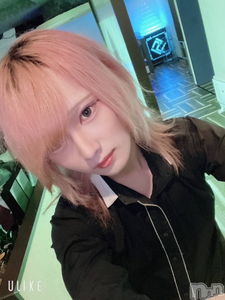 ��Į�ۥ��ȡ��ܡ������С�A151(�����������ݥ���) ��򥷥��9��12���̥�֥����֤���ä���Ǥ����