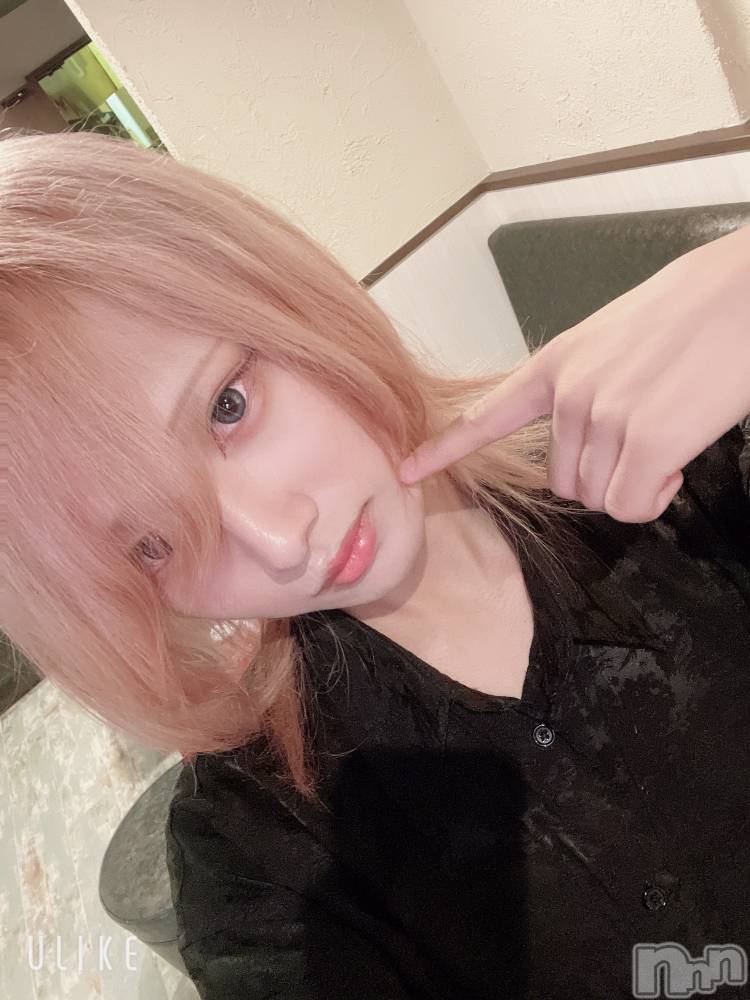 ��Į�ۥ��ȡ��ܡ������С�A151(�����������ݥ���) ��򥷥��9��13���̥�֥�����ͽ�꤯��������