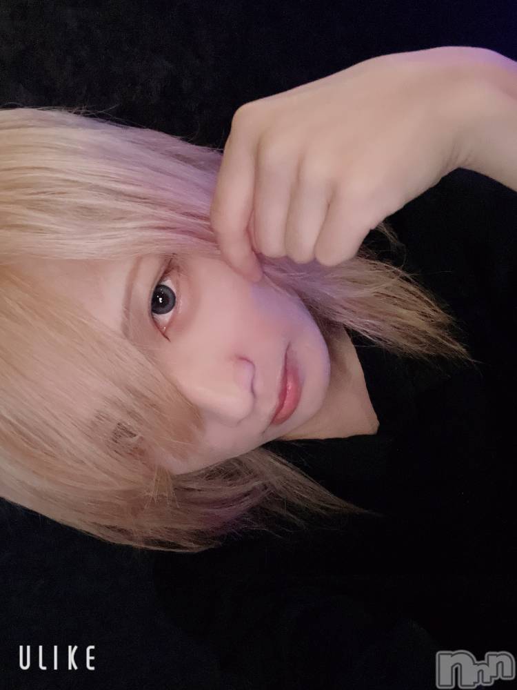 ��Į�ۥ��ȡ��ܡ������С�A151(�����������ݥ���) ��򥷥��10��8���̥�֥����֥�����������ΤФ��Ƥ���������