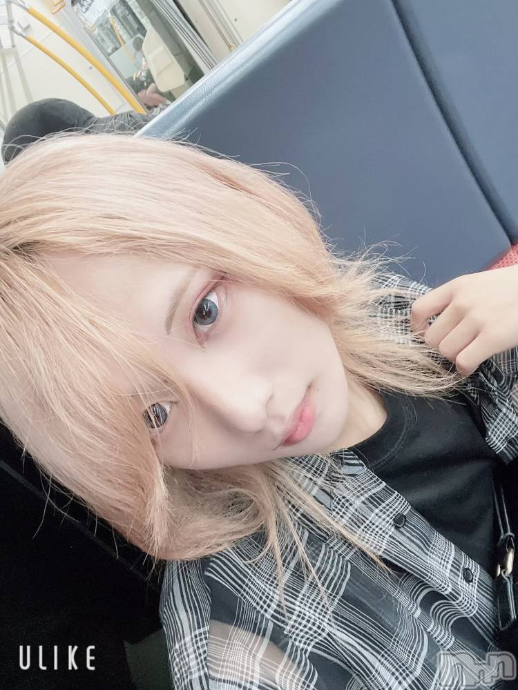 ��Į�ۥ��ȡ��ܡ������С�A151(�����������ݥ���) ��򥷥��10��9���̥�֥����ֽжФ�������