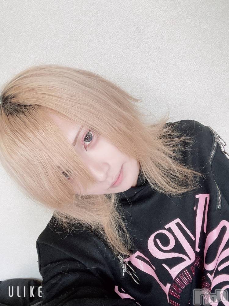 ��Į�ۥ��ȡ��ܡ������С�A151(�����������ݥ���) ��򥷥��10��20���̥�֥����ֽжФ�����