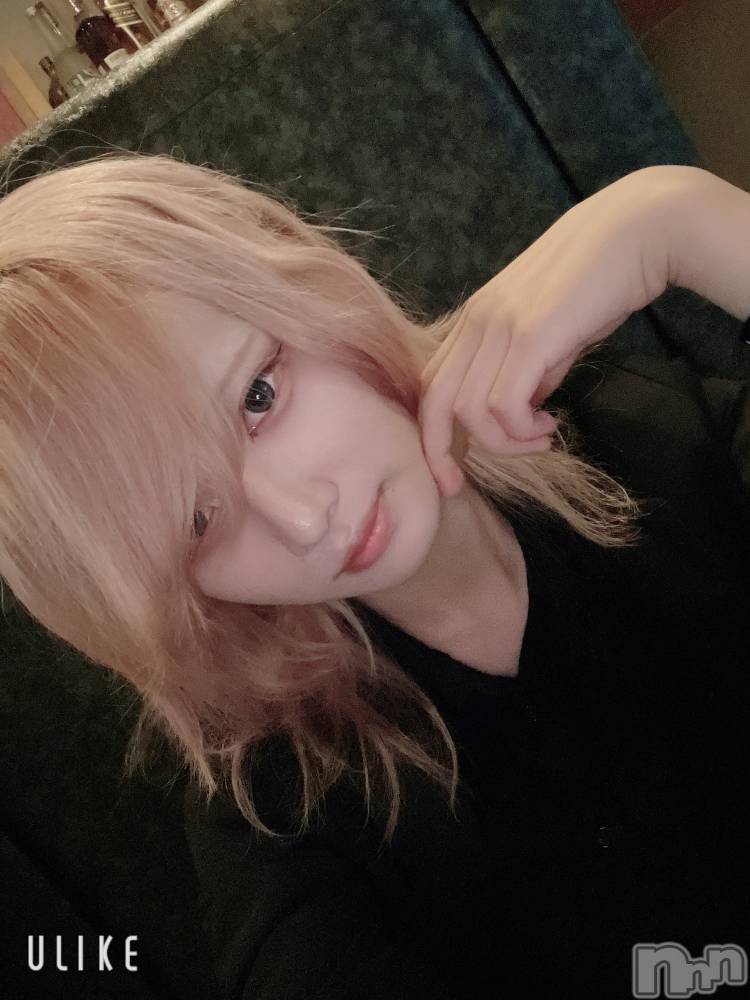 ��Į�ۥ��ȡ��ܡ������С�A151(�����������ݥ���) ��򥷥��10��31���̥�֥����֤Ϥ�����������