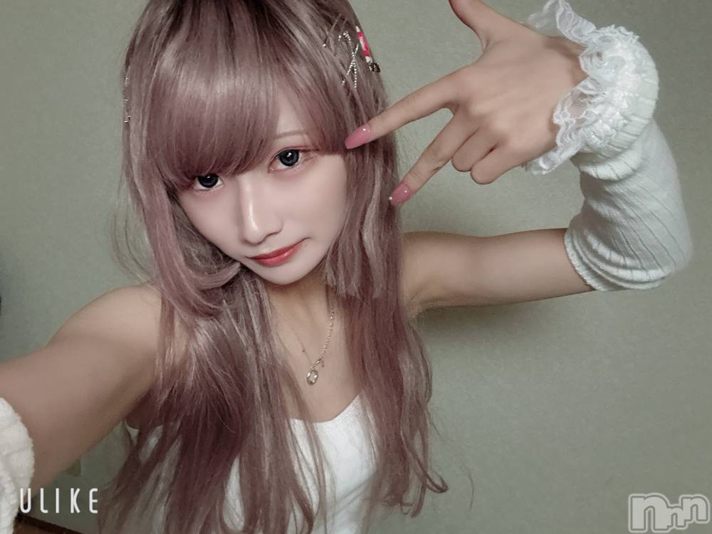 ��Į�ۥ��ȡ��ܡ������С�A151(�����������ݥ���) ��򥷥��11��1���̥�֥����֤����Ǥ�����