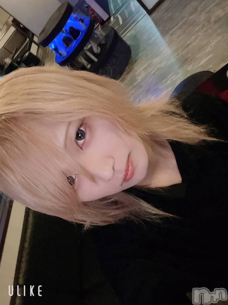 ��Į�ۥ��ȡ��ܡ������С�A151(�����������ݥ���) ��򥷥��11��2���̥�֥����ְ����Ǥ���