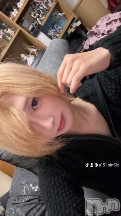 ��Į�ۥ��ȡ��ܡ������С�A151(�����������ݥ���) ��򥷥��11��5���̥�֥����ֽжФ��ޤ�����