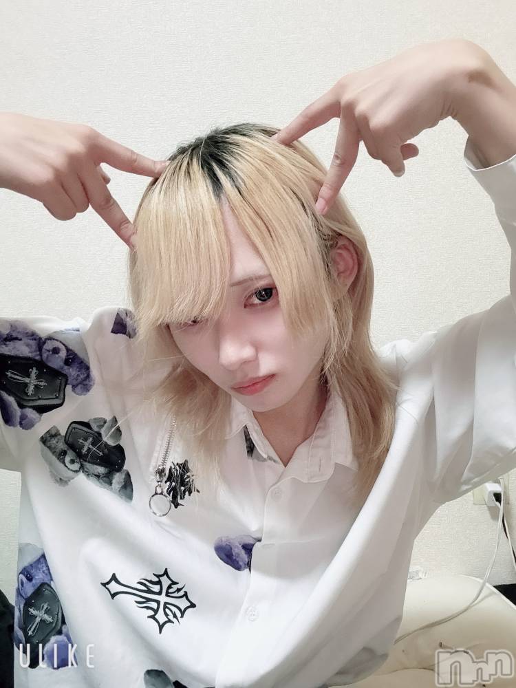 ��Į�ۥ��ȡ��ܡ������С�A151(�����������ݥ���) ��򥷥��11��7���̥�֥����������