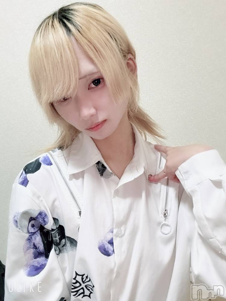 ��Į�ۥ��ȡ��ܡ������С�A151(�����������ݥ���) ��򥷥��11��10���̥�֥�����10���Ǥ���