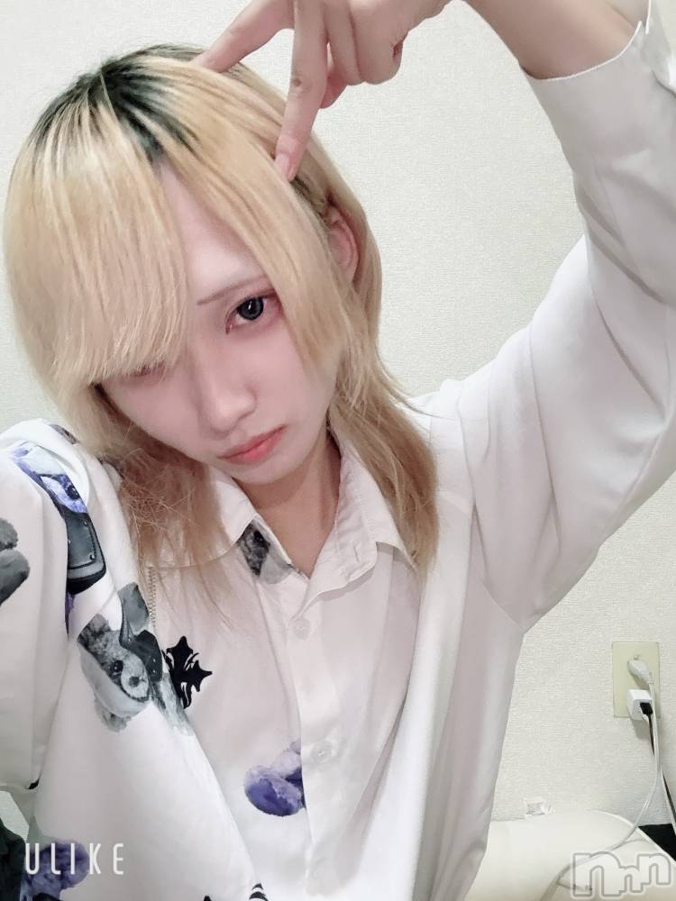 ��Į�ۥ��ȡ��ܡ������С�A151(�����������ݥ���) ��򥷥��11��13���̥�֥����֤��塪����