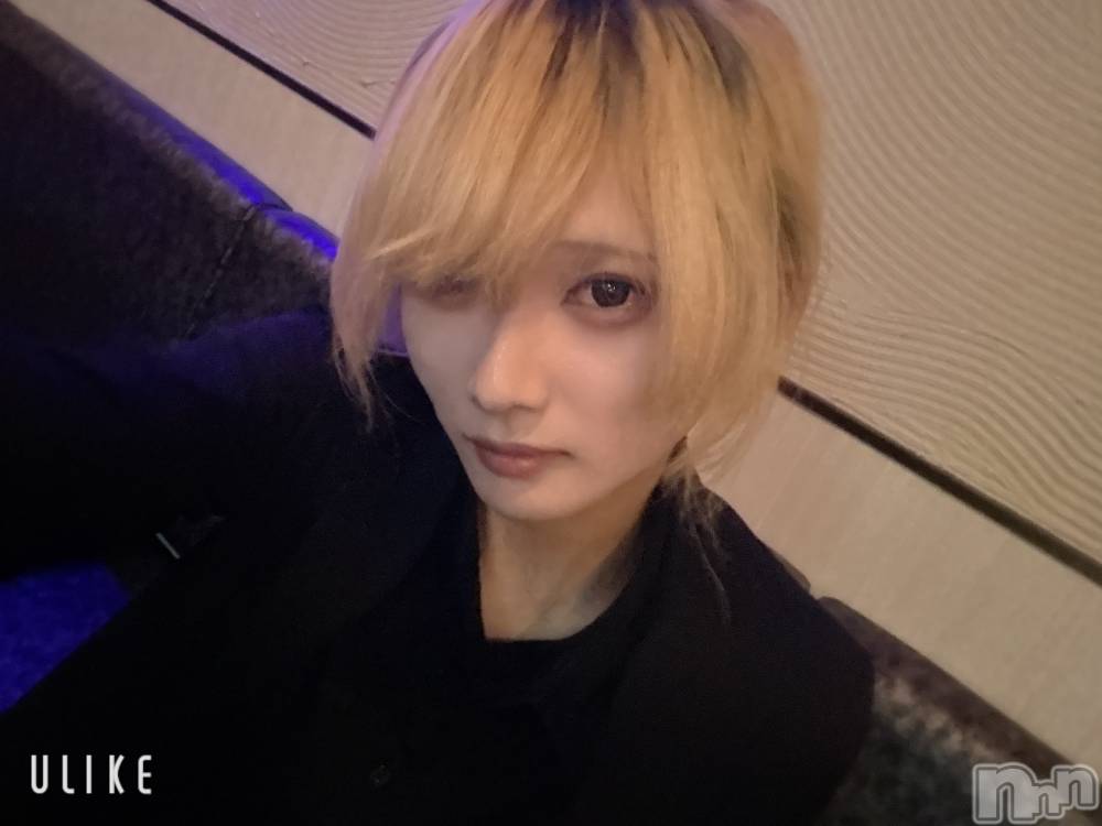 ��Į�ۥ��ȡ��ܡ������С�A151(�����������ݥ���) ��򥷥��12��6���̥�֥����֥ץ��ľ���ʤ���