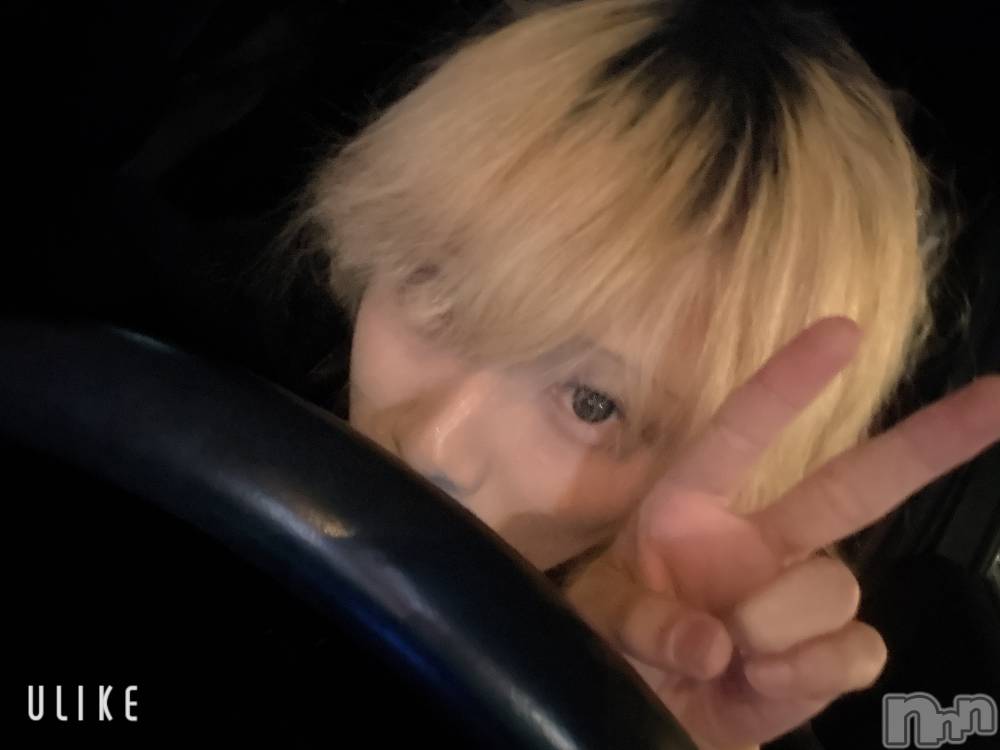 ��Į�ۥ��ȡ��ܡ������С�A151(�����������ݥ���) ��򥷥��12��7���̥�֥����֤��֡�