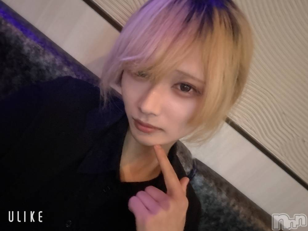 ��Į�ۥ��ȡ��ܡ������С�A151(�����������ݥ���) ��򥷥��12��11���̥�֥����֤��Ϥ褦��