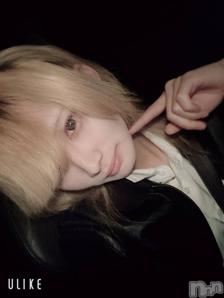 ��Į�ۥ��ȡ��ܡ������С�A151(�����������ݥ���) ��򥷥��12��18���̥�֥����֤��ä���