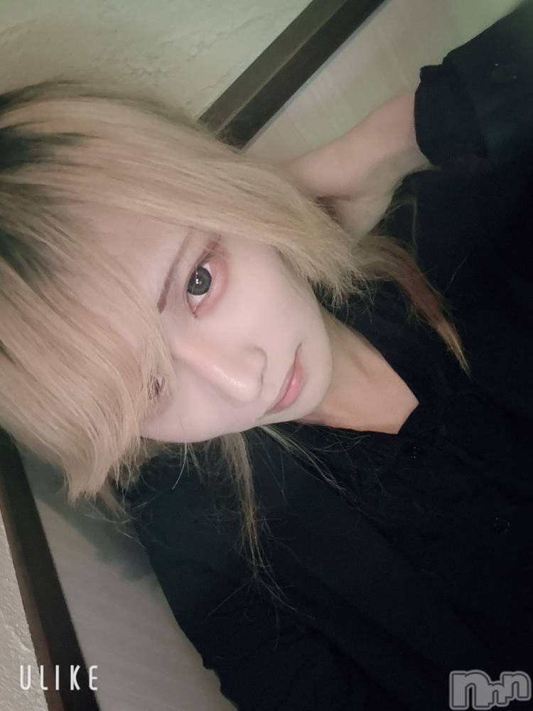 ��Į�ۥ��ȡ��ܡ������С�A151(�����������ݥ���) ��򥷥��12��21���̥�֥����ֿ���ˤ��ޤ���