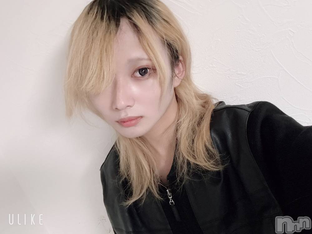 ��Į�ۥ��ȡ��ܡ������С�A151(�����������ݥ���) ��򥷥��1��4���̥�֥����֤��������