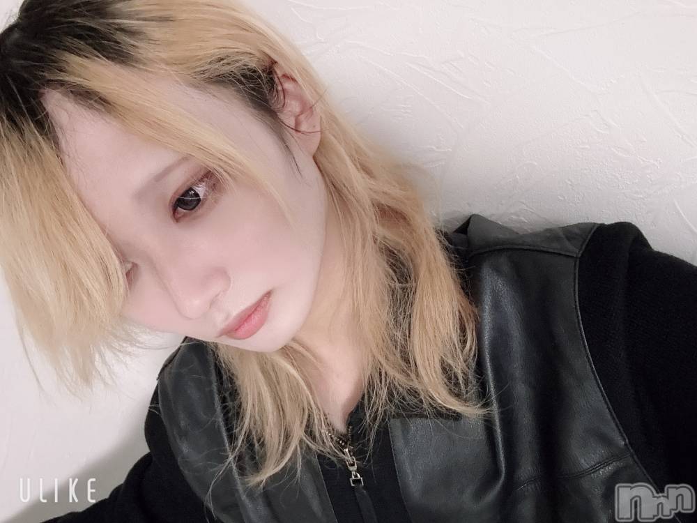 ��Į�ۥ��ȡ��ܡ������С�A151(�����������ݥ���) ��򥷥��1��16���̥�֥����ֽжФǤ���