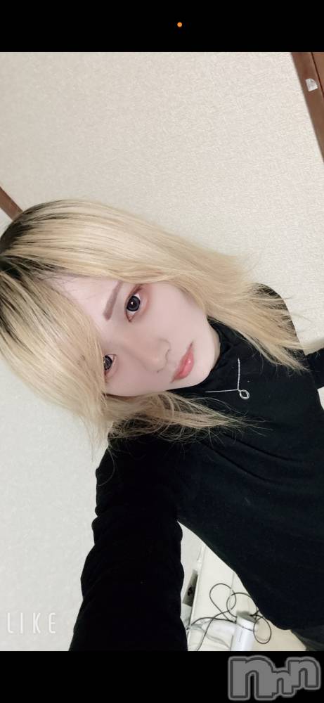 ��Į�ۥ��ȡ��ܡ������С�A151(�����������ݥ���) ��򥷥��1��18���̥�֥����ֽжФǤ���