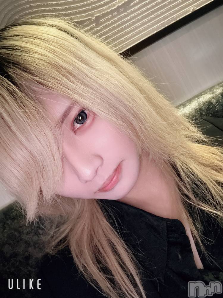 ��Į�ۥ��ȡ��ܡ������С�A151(�����������ݥ���) ��򥷥��1��29���̥�֥����ֽжФ���