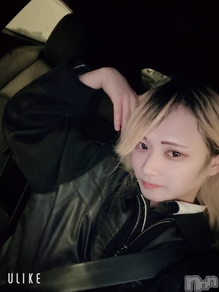 ��Į�ۥ��ȡ��ܡ������С�A151(�����������ݥ���) ��򥷥��1��31���̥�֥����ֽжФ���