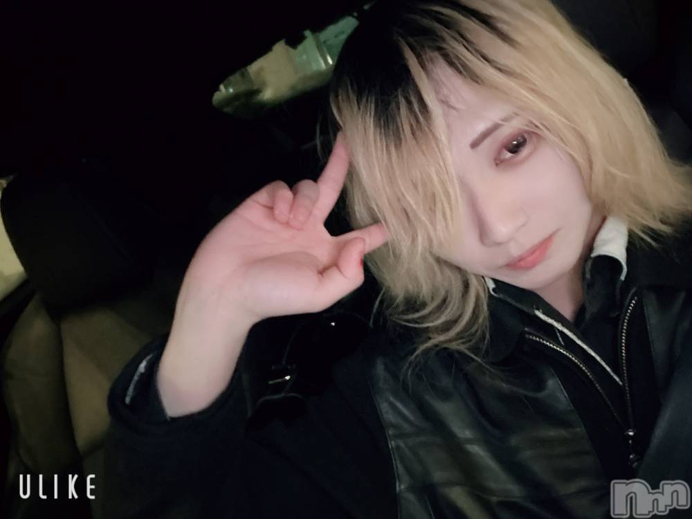 ��Į�ۥ��ȡ��ܡ������С�A151(�����������ݥ���) ��򥷥��2��2���̥�֥����ֽжФ���