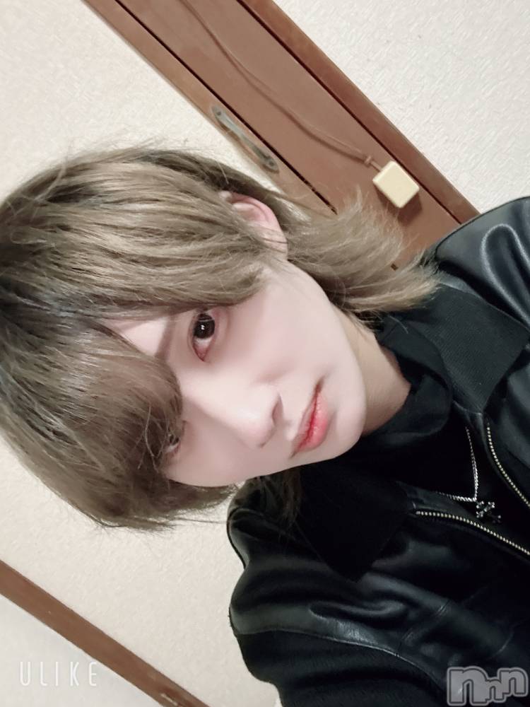 ��Į�ۥ��ȡ��ܡ������С�A151(�����������ݥ���) ��򥷥��2��15���̥�֥����ֽжФ�����