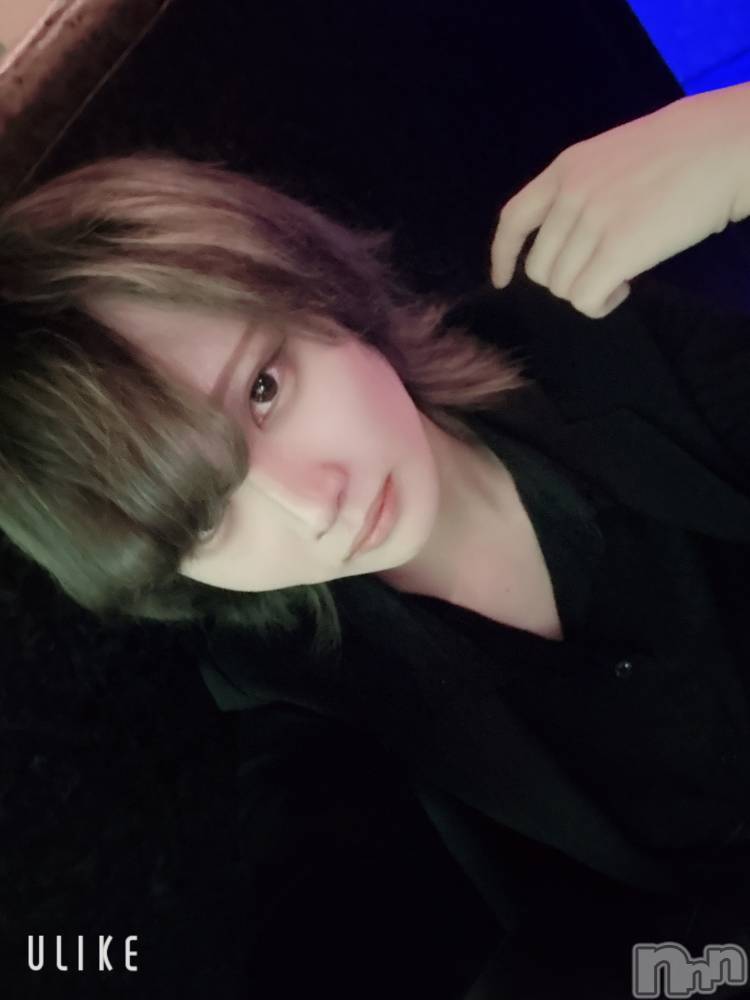 ��Į�ۥ��ȡ��ܡ������С�A151(�����������ݥ���) ��򥷥��2��16���̥�֥����ֽжФ���