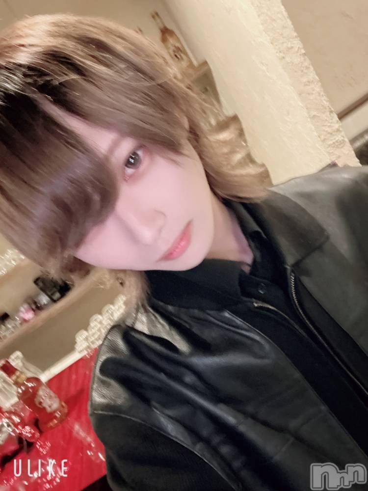 ��Į�ۥ��ȡ��ܡ������С�A151(�����������ݥ���) ��򥷥��2��21���̥�֥����ֽжФ���