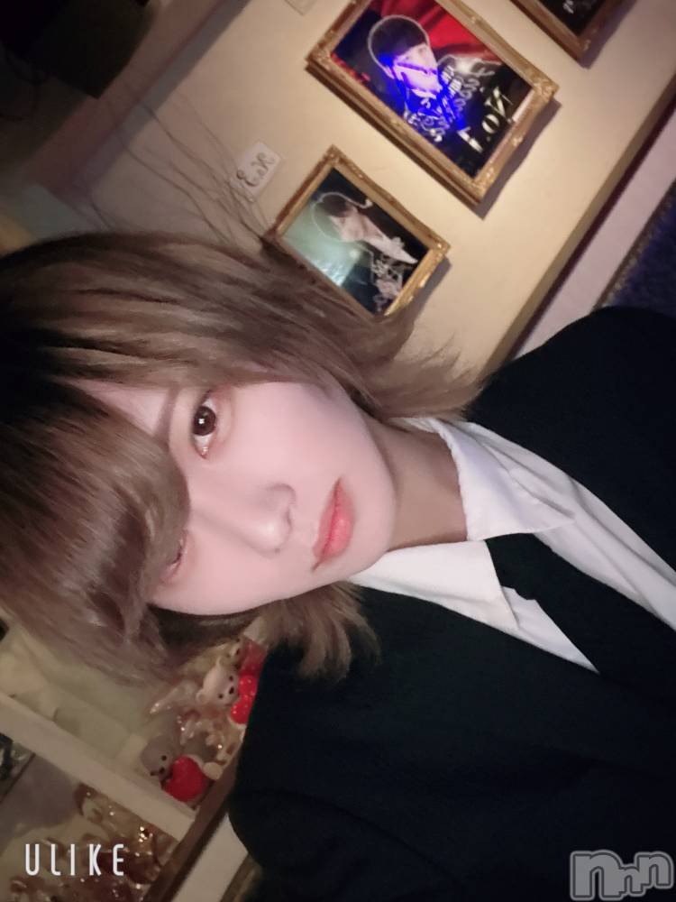 ��Į�ۥ��ȡ��ܡ������С�A151(�����������ݥ���) ��򥷥��3��18���̥�֥�����������������