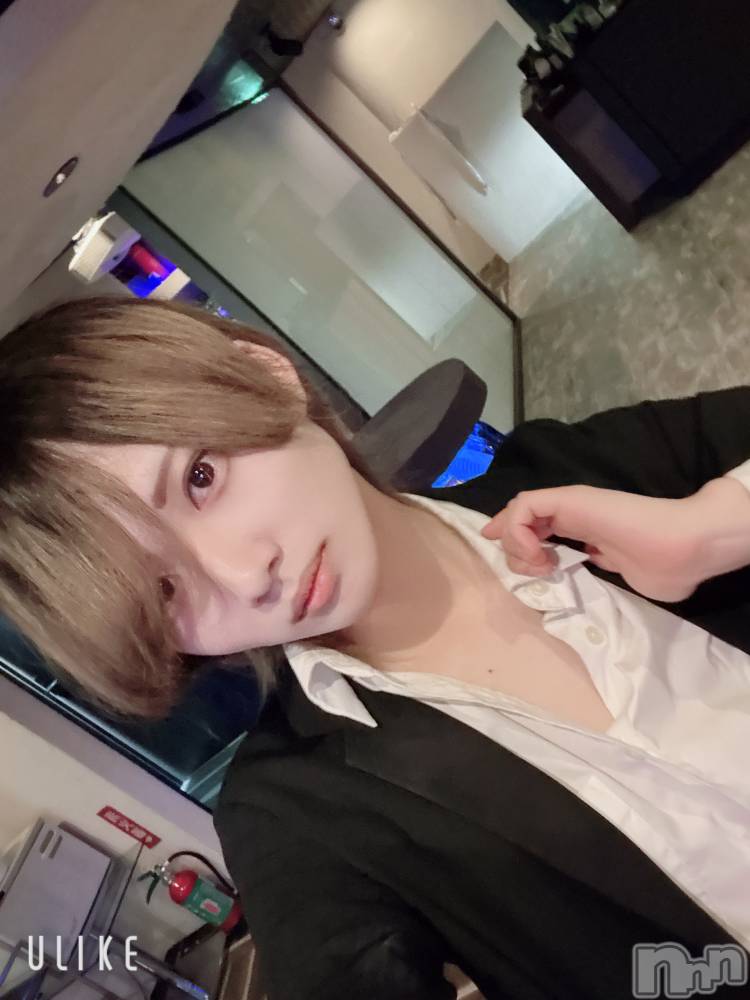 ��Į�ۥ��ȡ��ܡ������С�A151(�����������ݥ���) ��򥷥��4��22���̥�֥����ֽжФ���