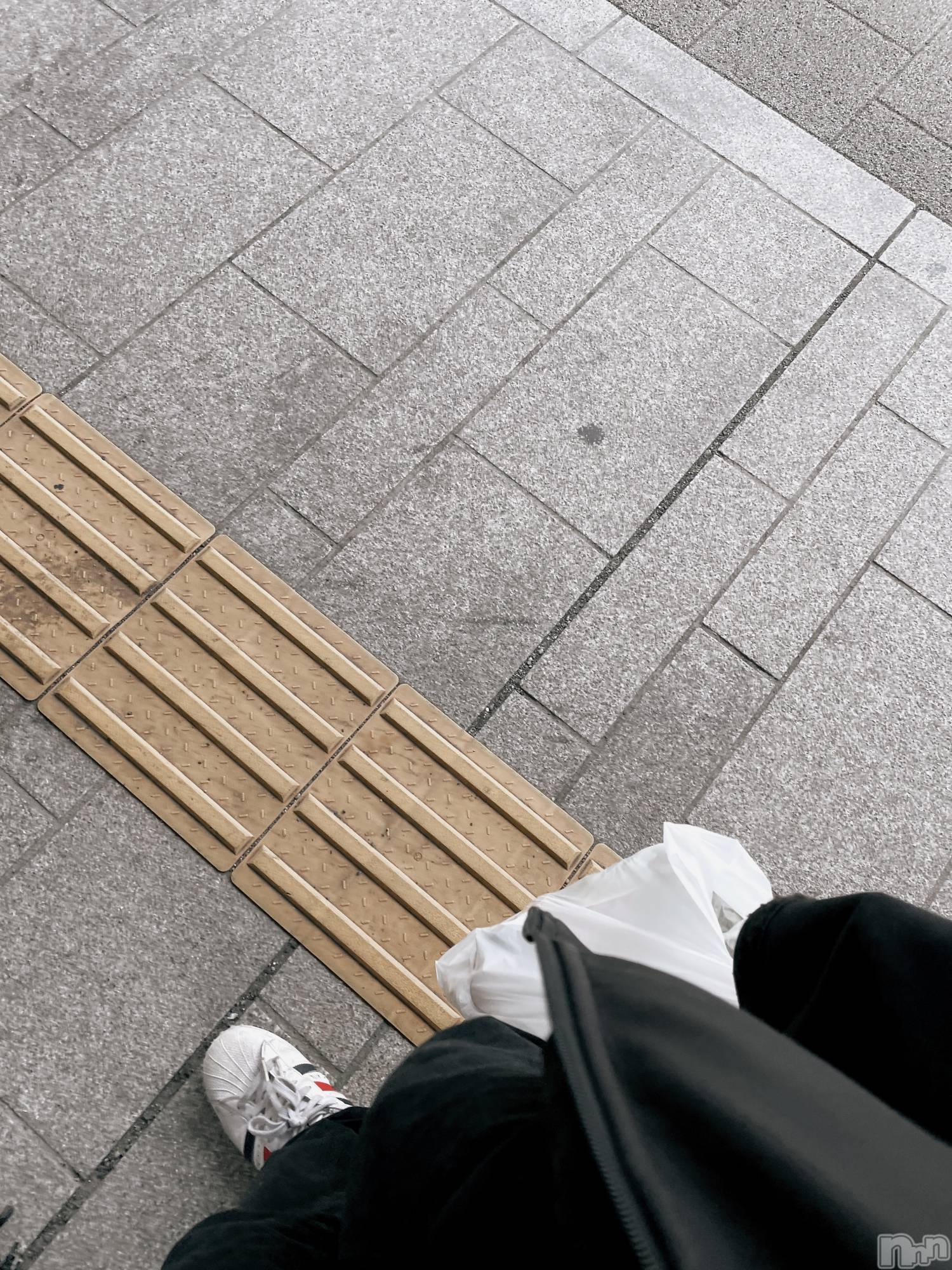 ��Į�ۥ��ȡ��ܡ������С�A151(�����������ݥ���) ��2023ǯ4��15���̥�֥����֥���٥Ĺ⤤��