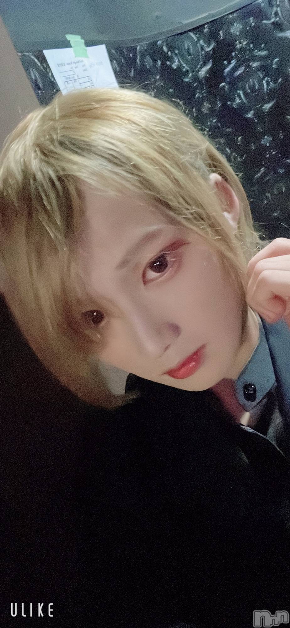 ��Į�ۥ��ȡ��ܡ������С�A151(�����������ݥ���) ��2023ǯ8��2���̥�֥����ּ̥��