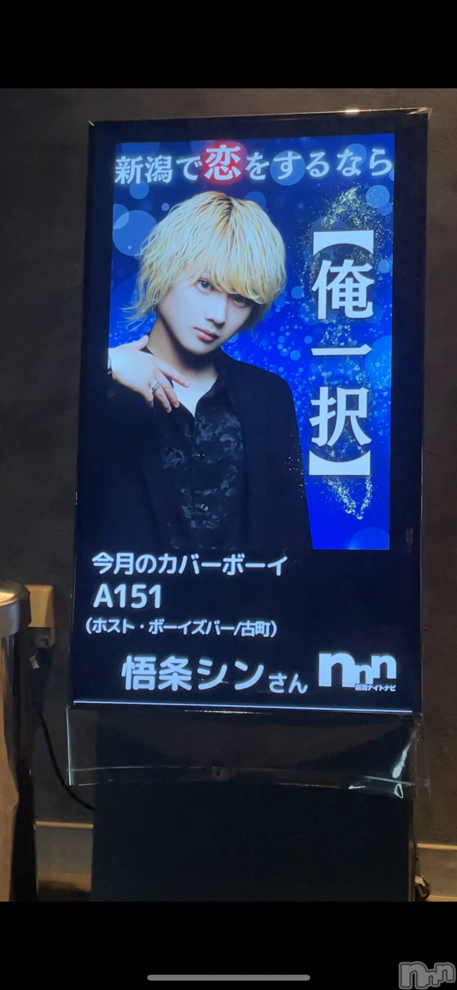 ��Į�ۥ��ȡ��ܡ������С�A151(�����������ݥ���) ��2024ǯ6��17���̥�֥����ֻ����ԡ�