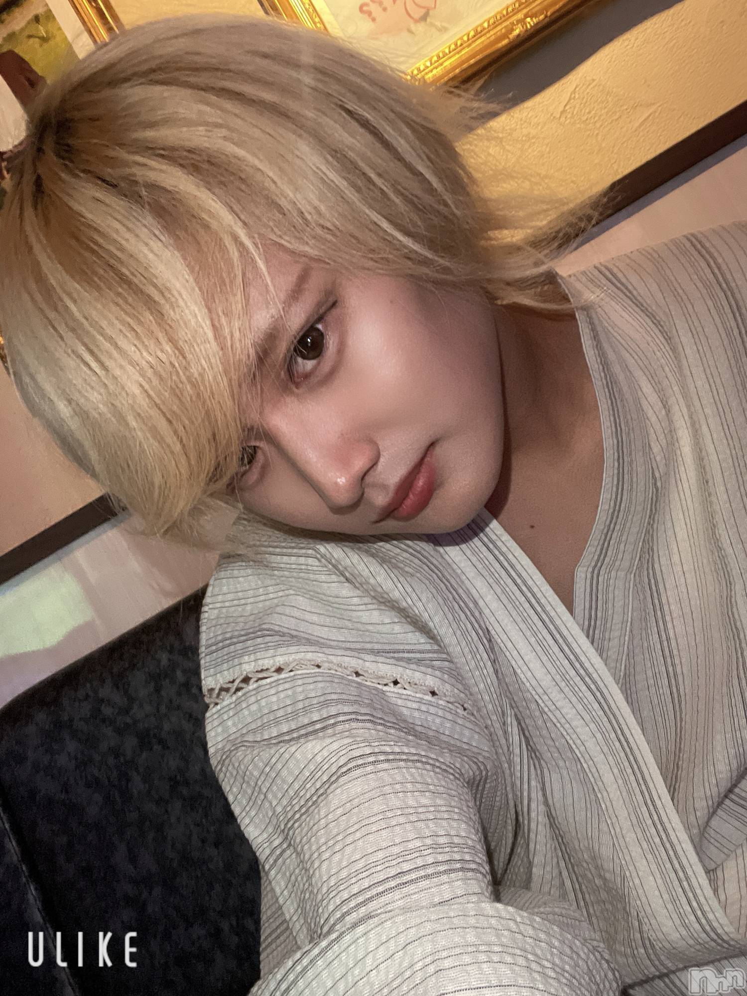 ��Į�ۥ��ȡ��ܡ������С�A151(�����������ݥ���) ��2024ǯ8��13���̥�֥����֤��㡼�ʤ���