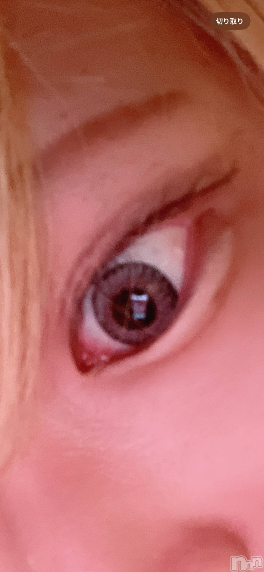 ��Į�ۥ��ȡ��ܡ������С�A151(�����������ݥ���) ��2024ǯ8��16���̥�֥����֥��饳���