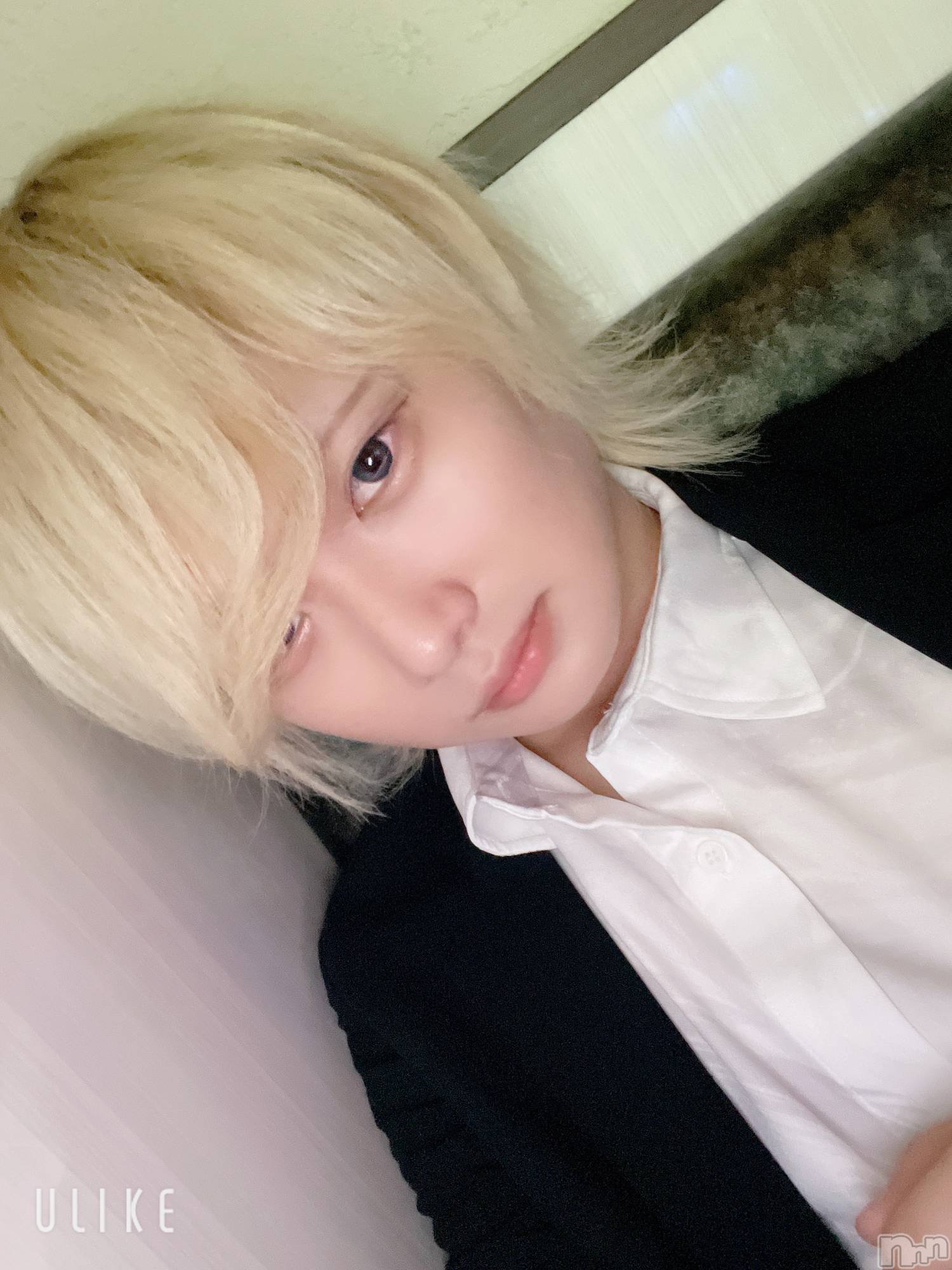 ��Į�ۥ��ȡ��ܡ������С�A151(�����������ݥ���) ��2024ǯ8��28���̥�֥�����Ź�����������