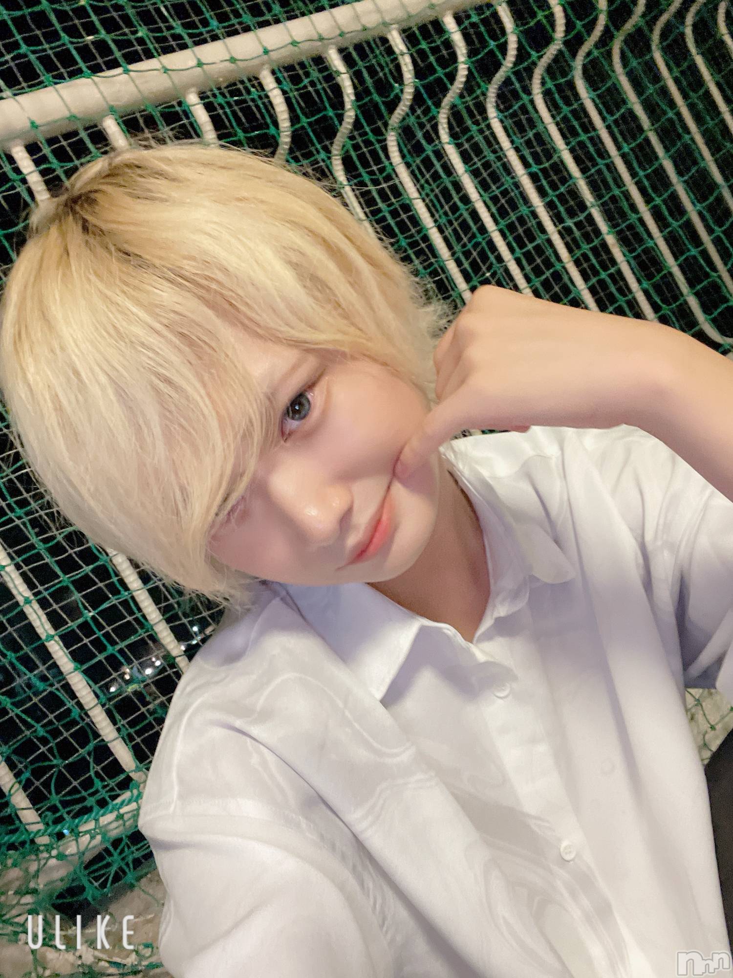 ��Į�ۥ��ȡ��ܡ������С�A151(�����������ݥ���) ��2024ǯ8��29���̥�֥������������ޤ����